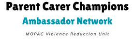 Parent Carer Champion Ambassador Network.png