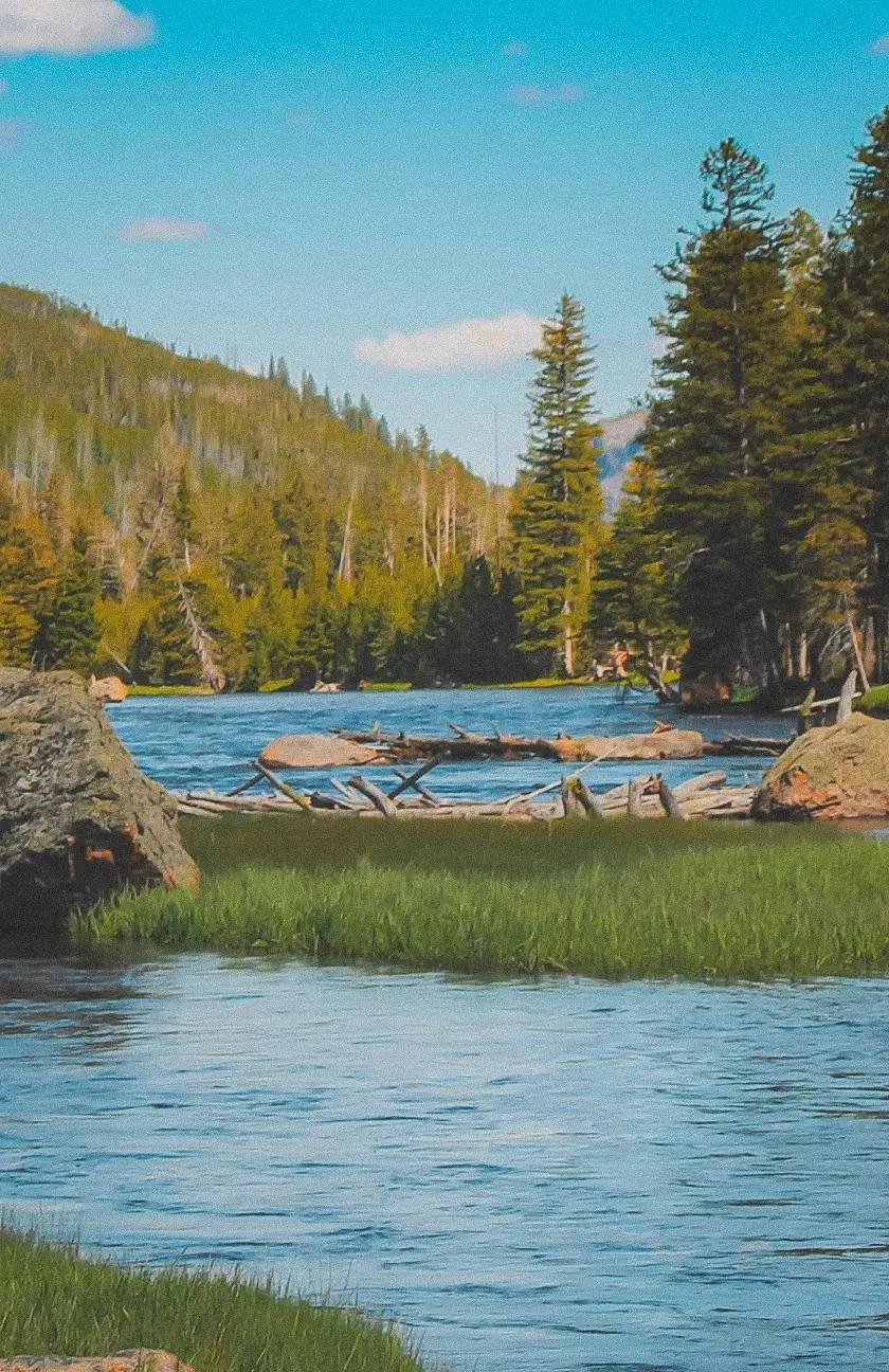 Testimonial BG-1.webp