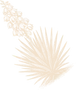 Vector-2.webp