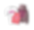 napa merch.png