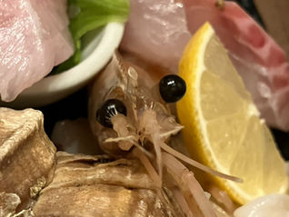 🦐エビと目が合った新年会。