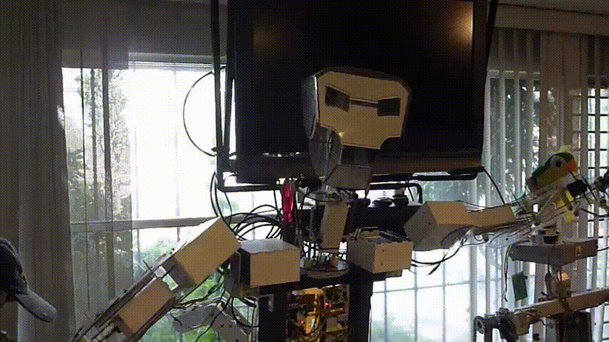 animatronico conejo