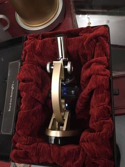 A microscope holds a teeny clue