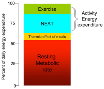 NEAT: The small habit that makes the most difference 