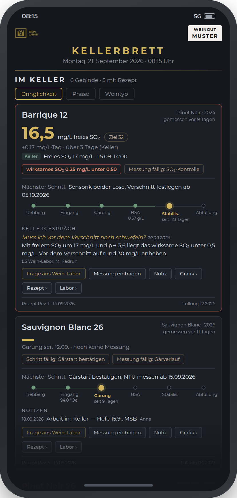 Kellerbrett auf dem Handy: eine Kachel je Gebinde untereinander, mit freiem SO2, Statusmeldungen, Phasenleiste und Kellergespraech