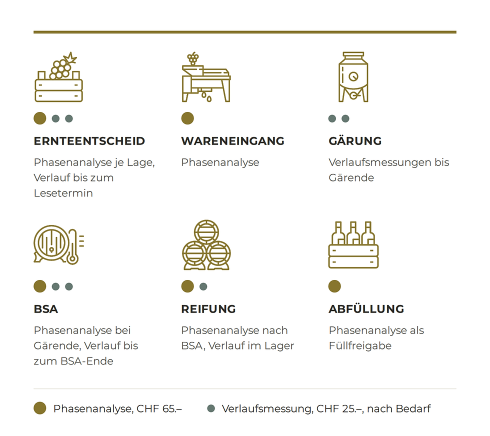 So läuft ein Weinjahr: sechs Phasen von Ernteentscheid bis Abfüllung, mit Phasenanalyse (CHF 65.–) und Verlaufsmessung (CHF 25.–, nach Bedarf) je Phase