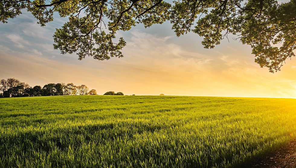 Beautiful appealing land