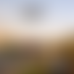 Chipotle drone delivery hovering over suburban home at golden hour, lowering food bag to woman on porch