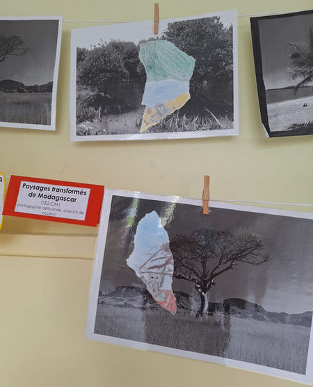exposition paysage de Madagascar OK DIFFUSION.jpg