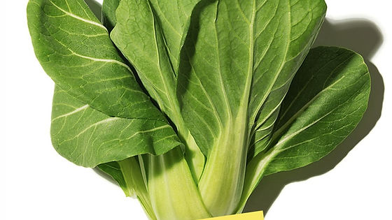 Pak Choi