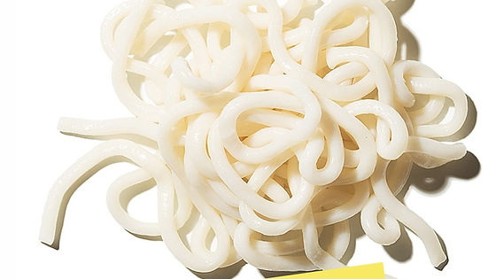 Nouilles Udon