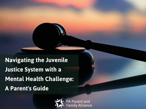 Navigating the Juvenile Justice System with a Mental Health Challenge: A Parent's Guide