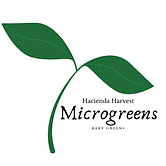 Hacienda Harvest - logo.png