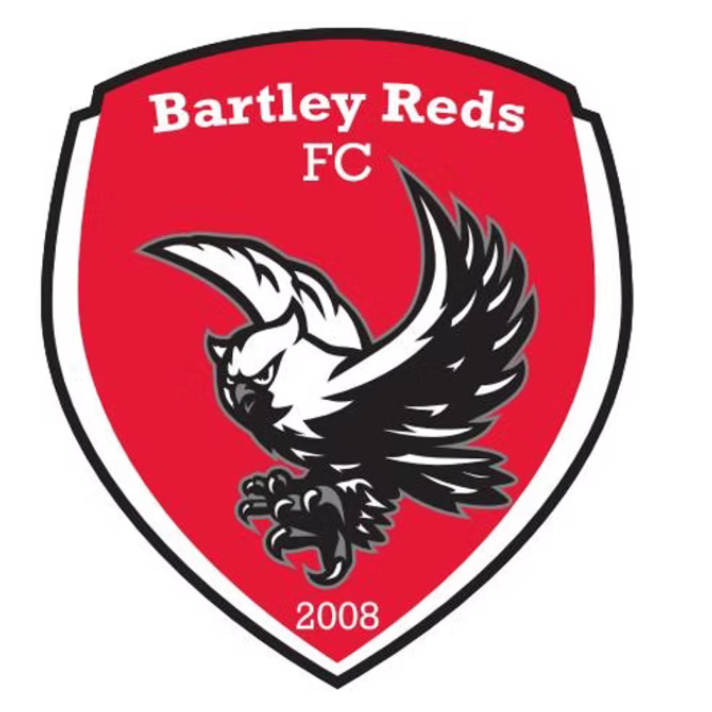Bartley Reds FC shield logo with owl, 2008