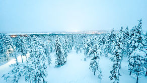LAPONIE FINLANDAISE