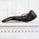 Thumbnail: End of 18th Century Antique Gunpowder Horn Carried by Men/Soldiers in the Civil