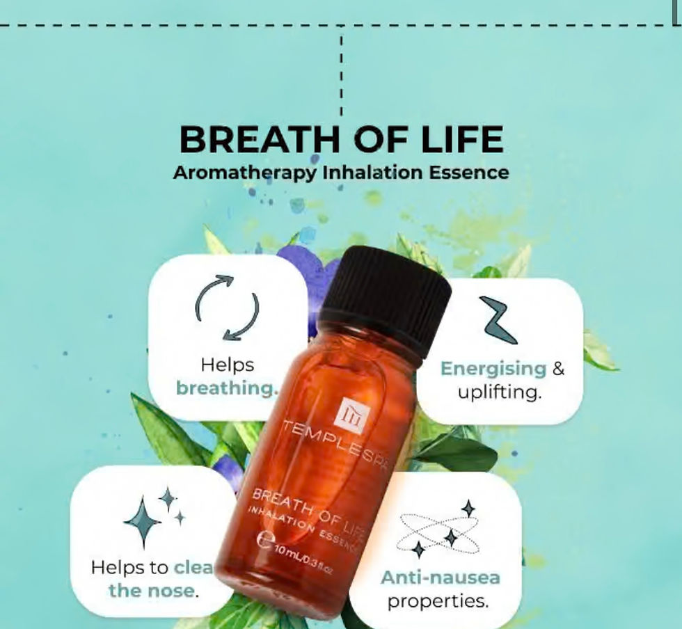 Thumbnail: ALL BEING WELL The Wellness Ritual (Four items)