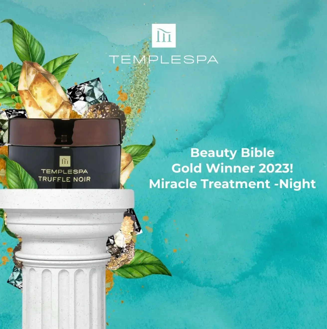 TRUFFLE NOIR 24-Hour Anti-Ageing Moisturiser 50 ml