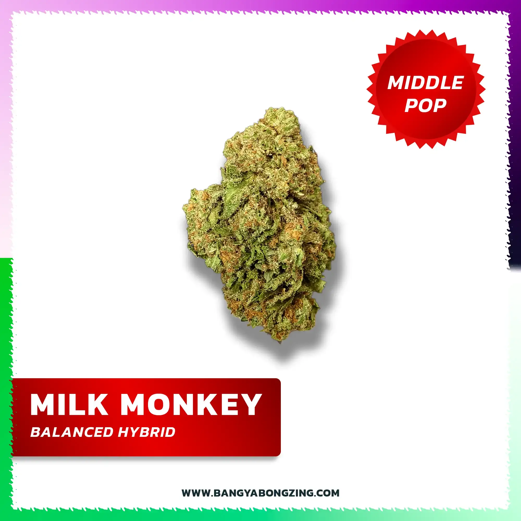 กัญชาสายพันธุ์ Milk Monkey [Middle-POP] Premium