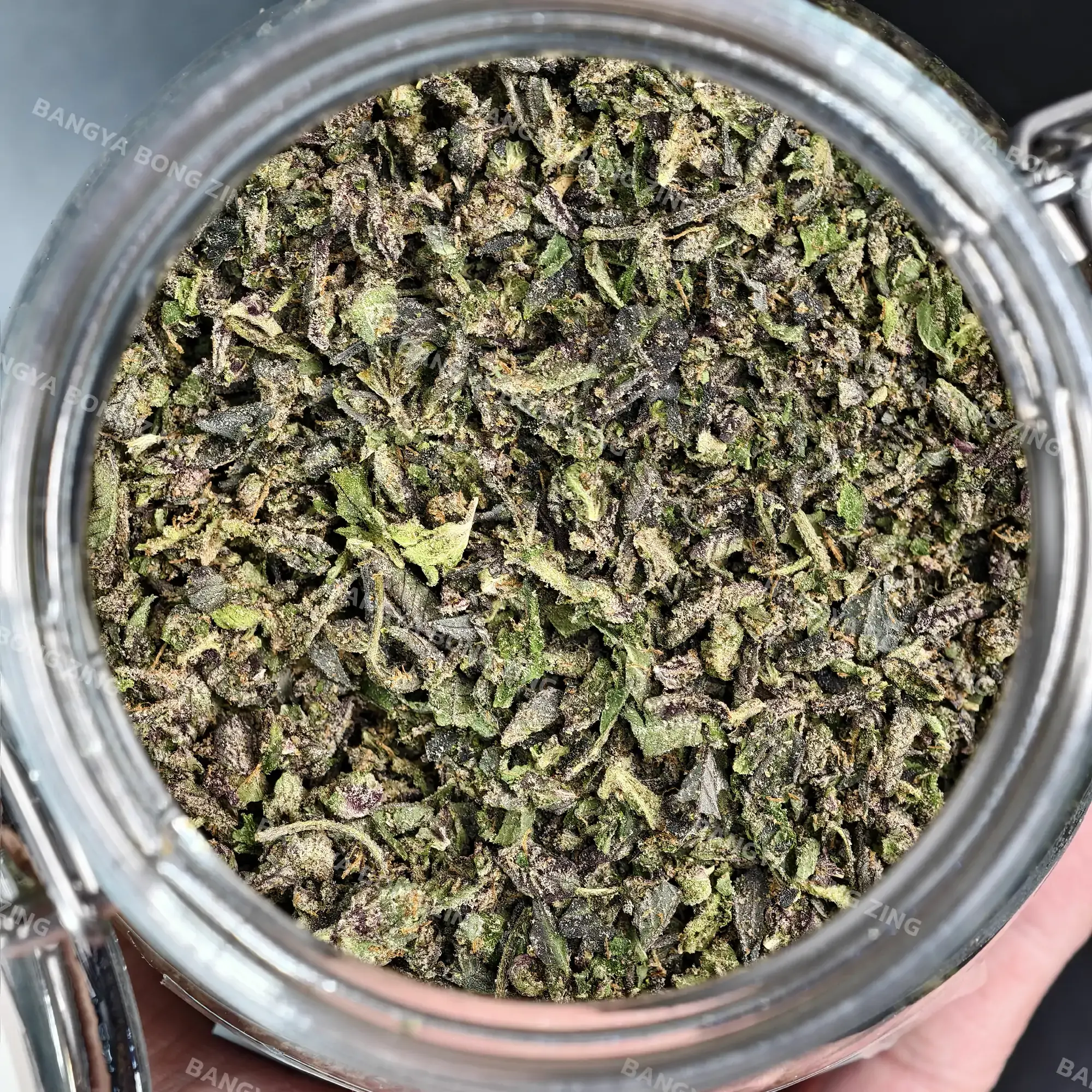 ใบทริมติดดอก White Runtz [Premium]