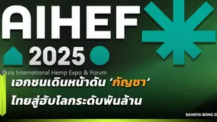 งาน Asia International Hemp Expo & Forum 2025 หรือ AIHEF 2025