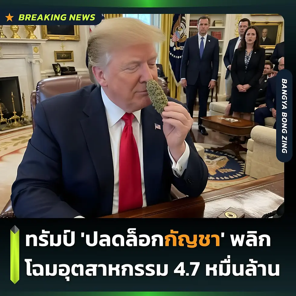 ทรัมป์ 'ปลดล็อกกัญชา' พลิกโฉมอุตสาหกรรม 4.7 หมื่นล้านดอลลาร์!