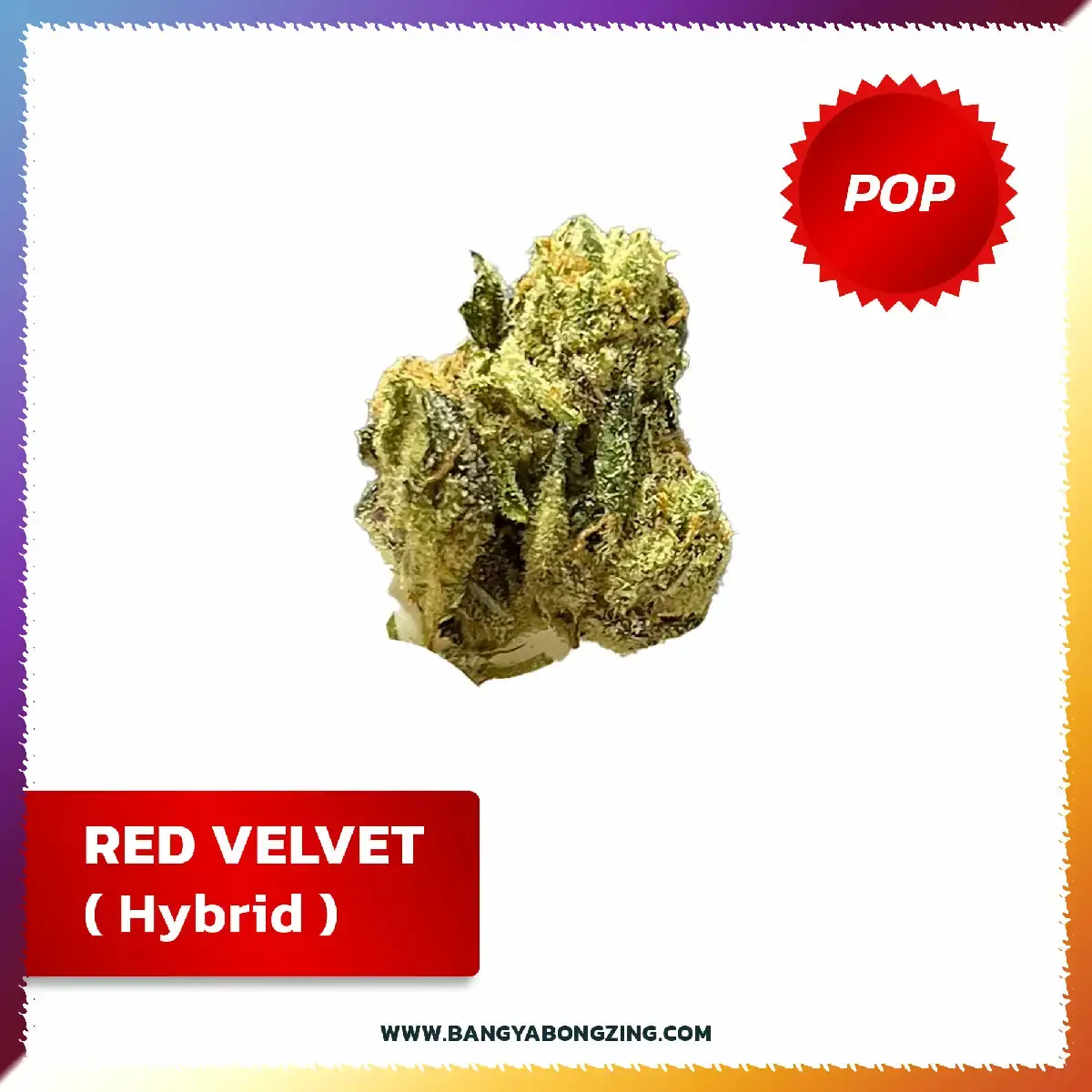 กัญชาสายพันธุ์ Red Velvet [Hybrid]
