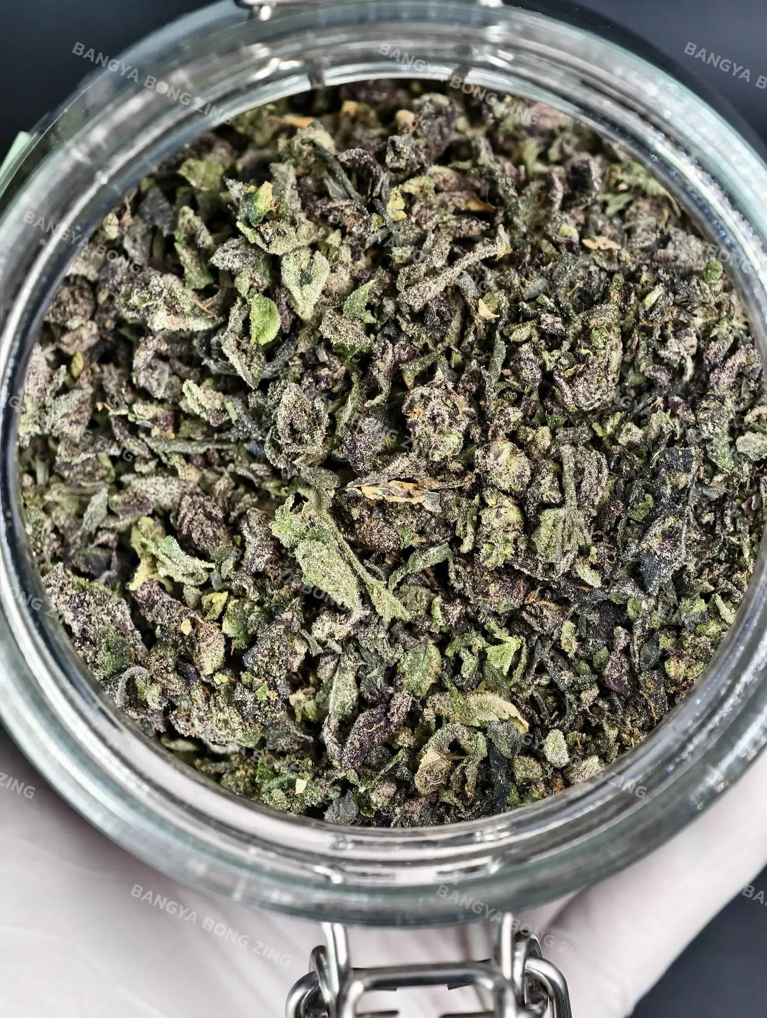 ใบทริมติดดอก Apple Runtz [Premium]