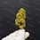 Thumbnail: Mimosa [TOP-Shelf]