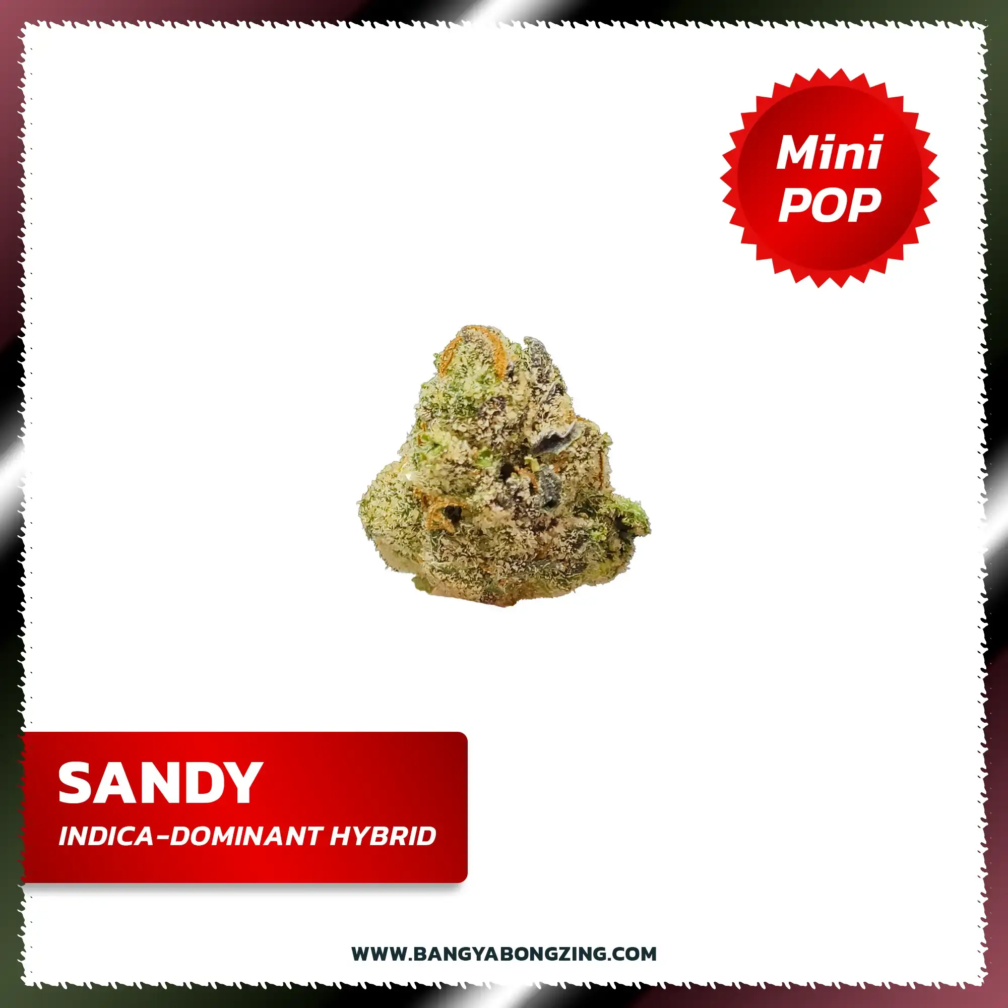 Sandy [Mini-POP] Thailand