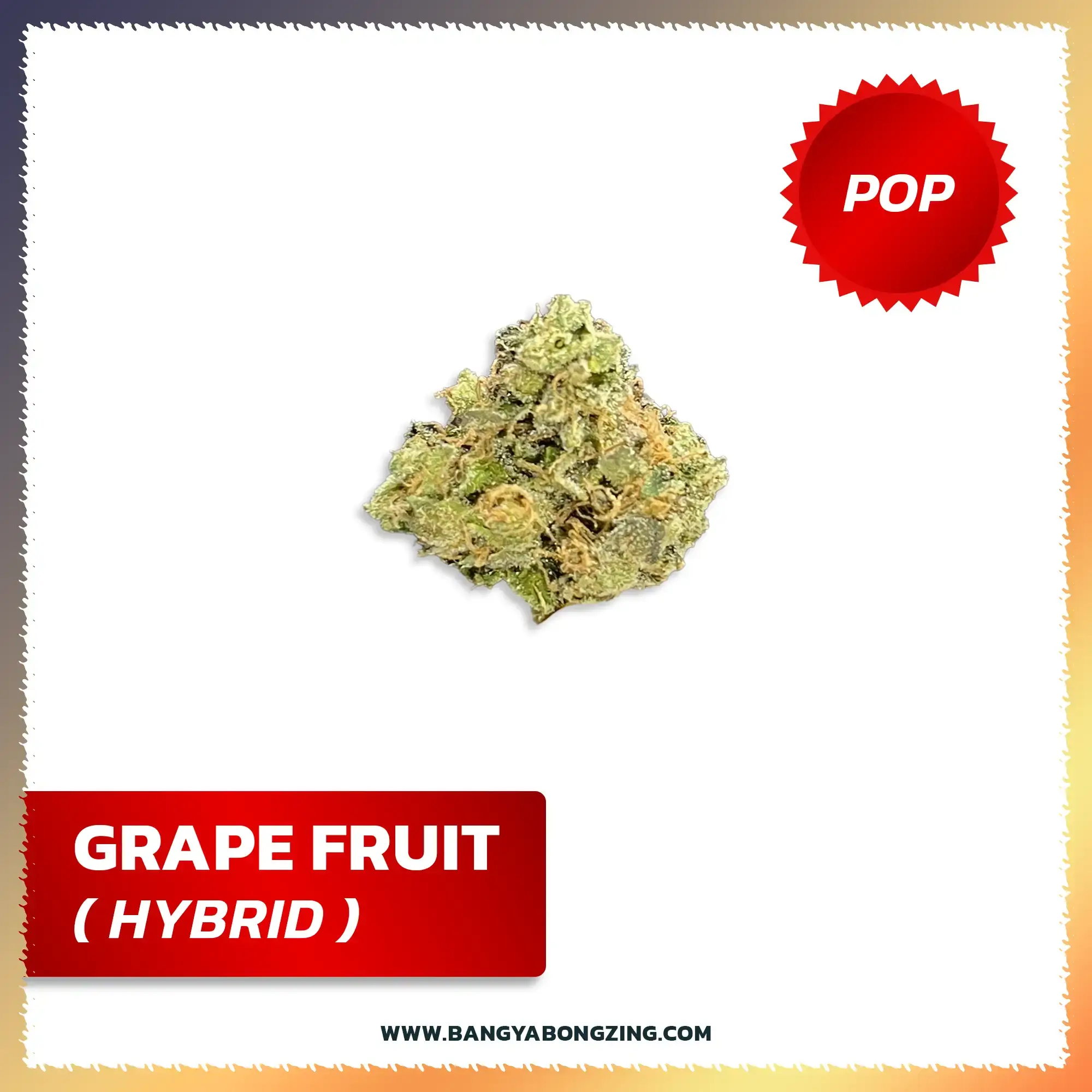 Grape Fruit [Hybrid]