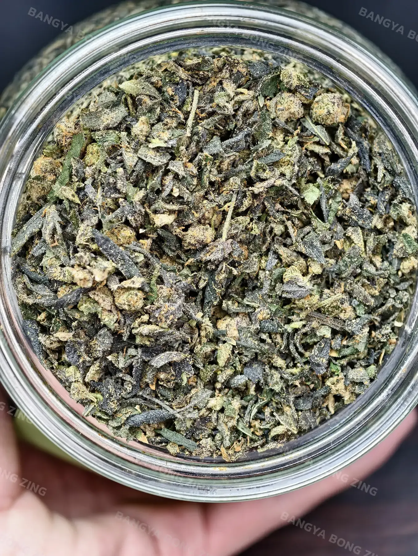 ใบทริม Sinaloa Cake [Hybrid]