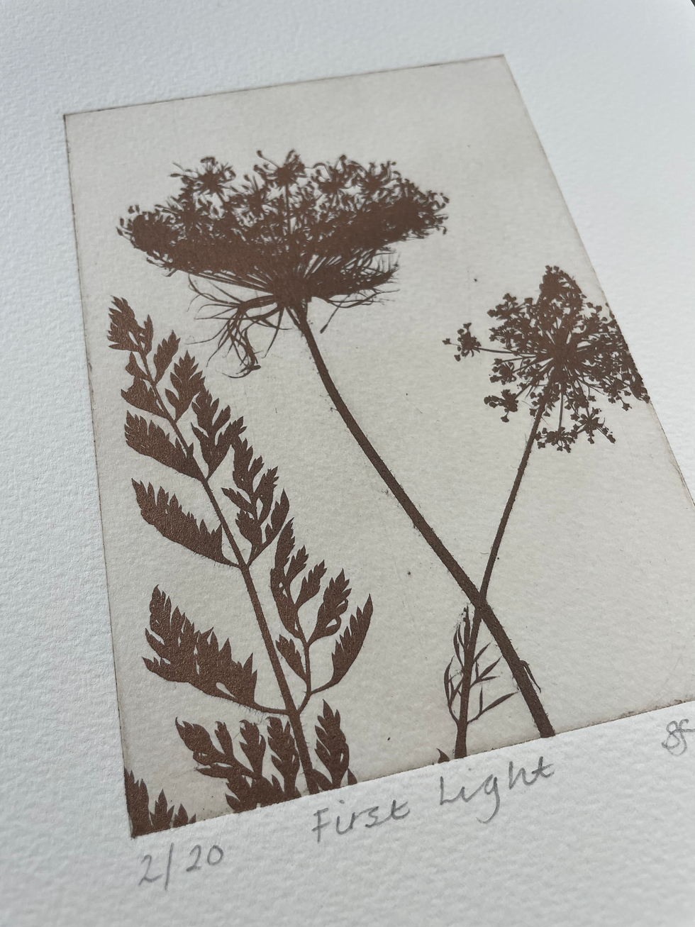 Thumbnail: First Light - Solar Plate Print AP