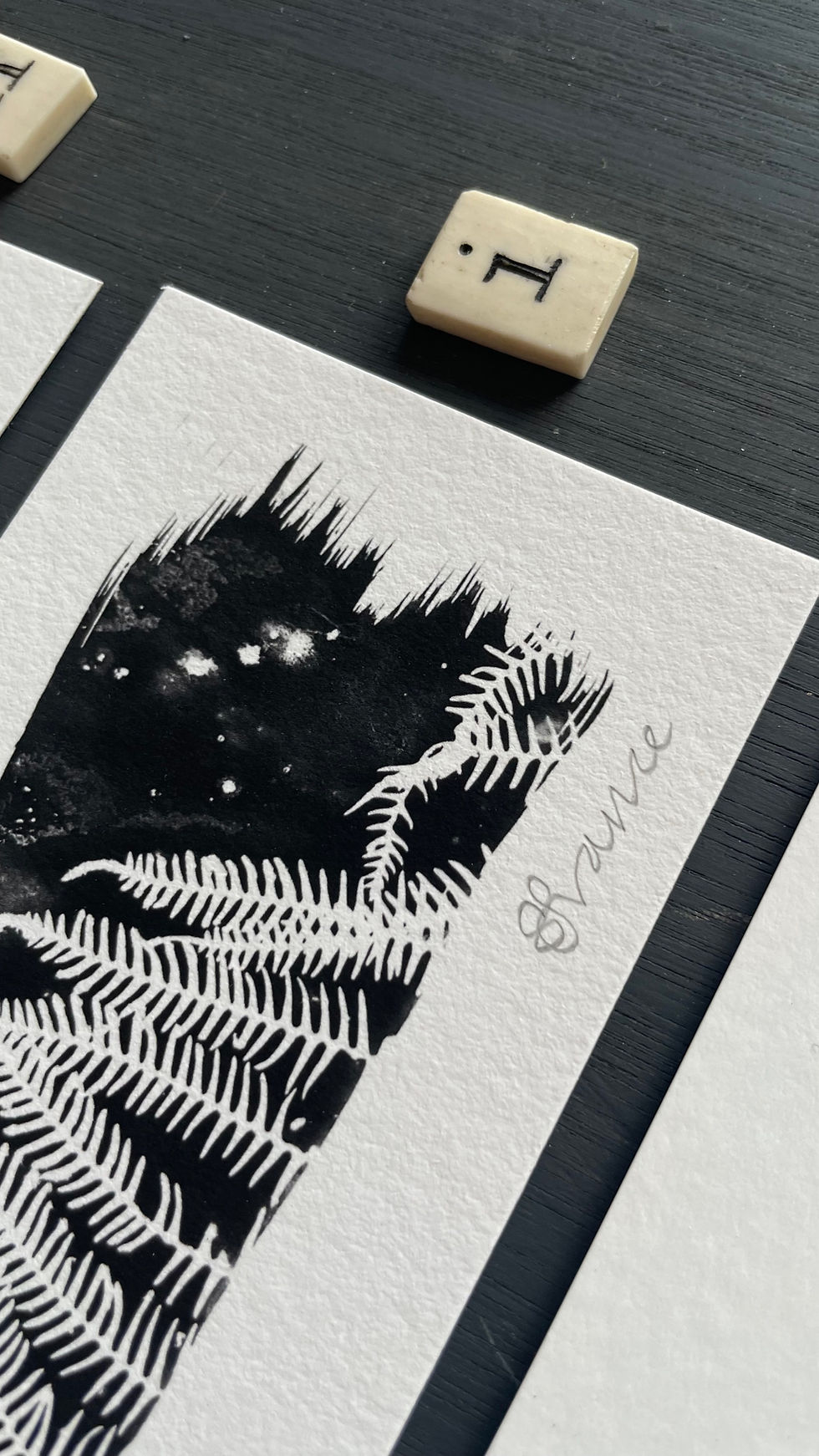 Thumbnail: Small Winter Ferns