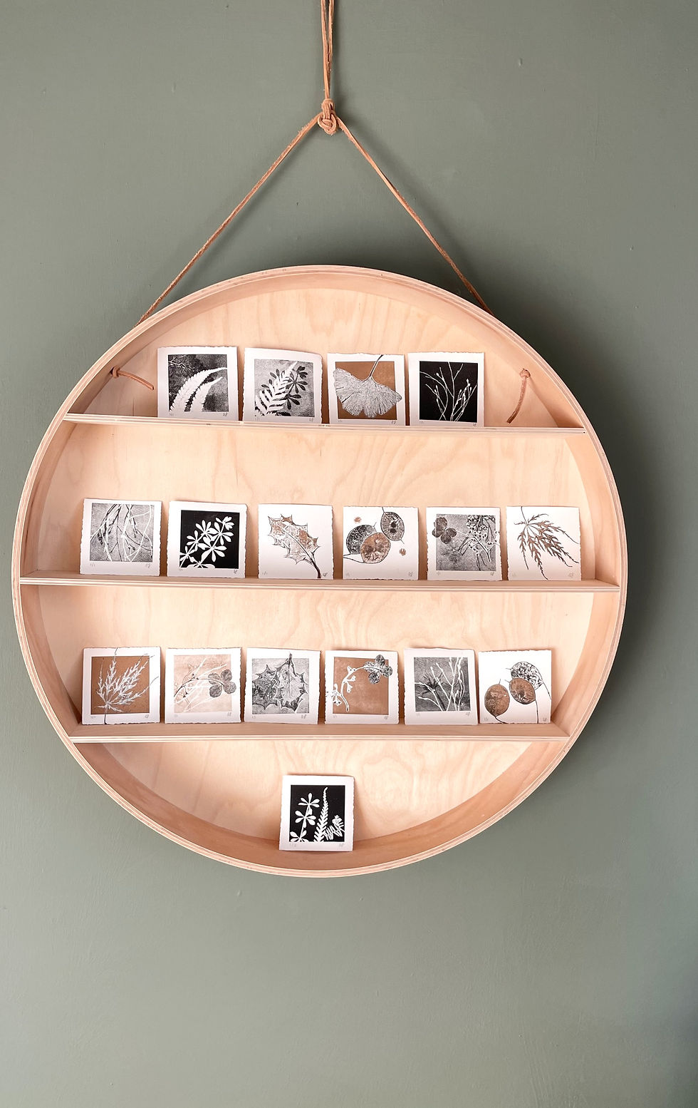 circular plywood shelves hold many tiny botanical mini prints