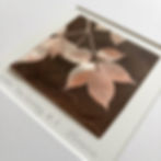 Under the Canopy #3 original collagraph print with earth pigments, botanical leaf forms, hand-pulled by artist Su France