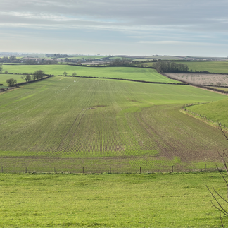 rolling hills of a green lincolnshire landscape