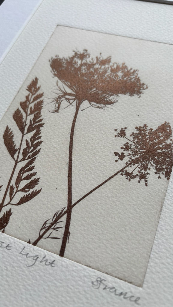 Thumbnail: First Light - Solar Plate Print AP