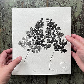 Two maidenhair ferns, printed in black ink on a white background on a print, held by the artist/ printmaker