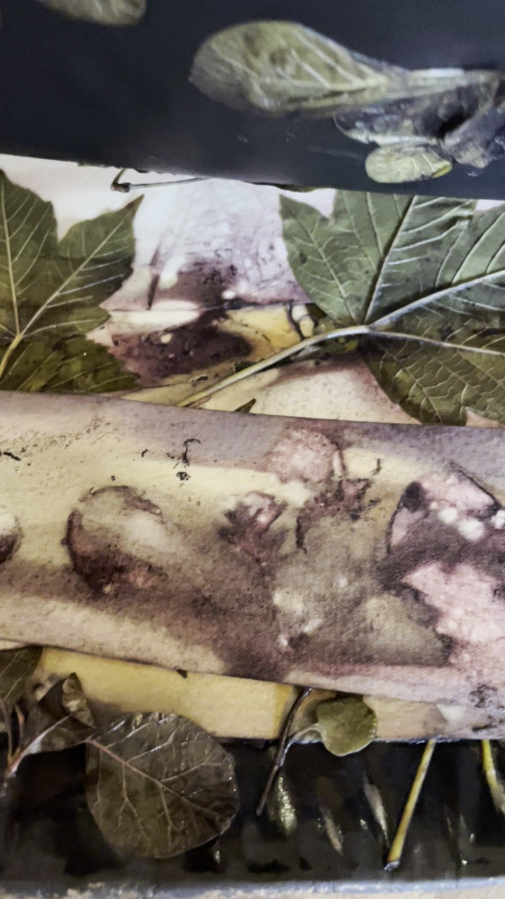 Thumbnail: 'Tapestry of Leaves' Giclée Print