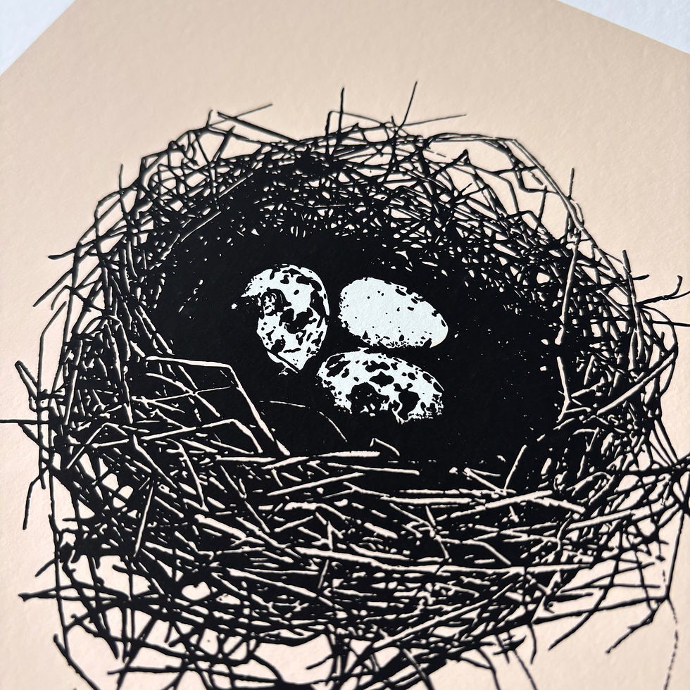 Thumbnail: Nest Print - Origins