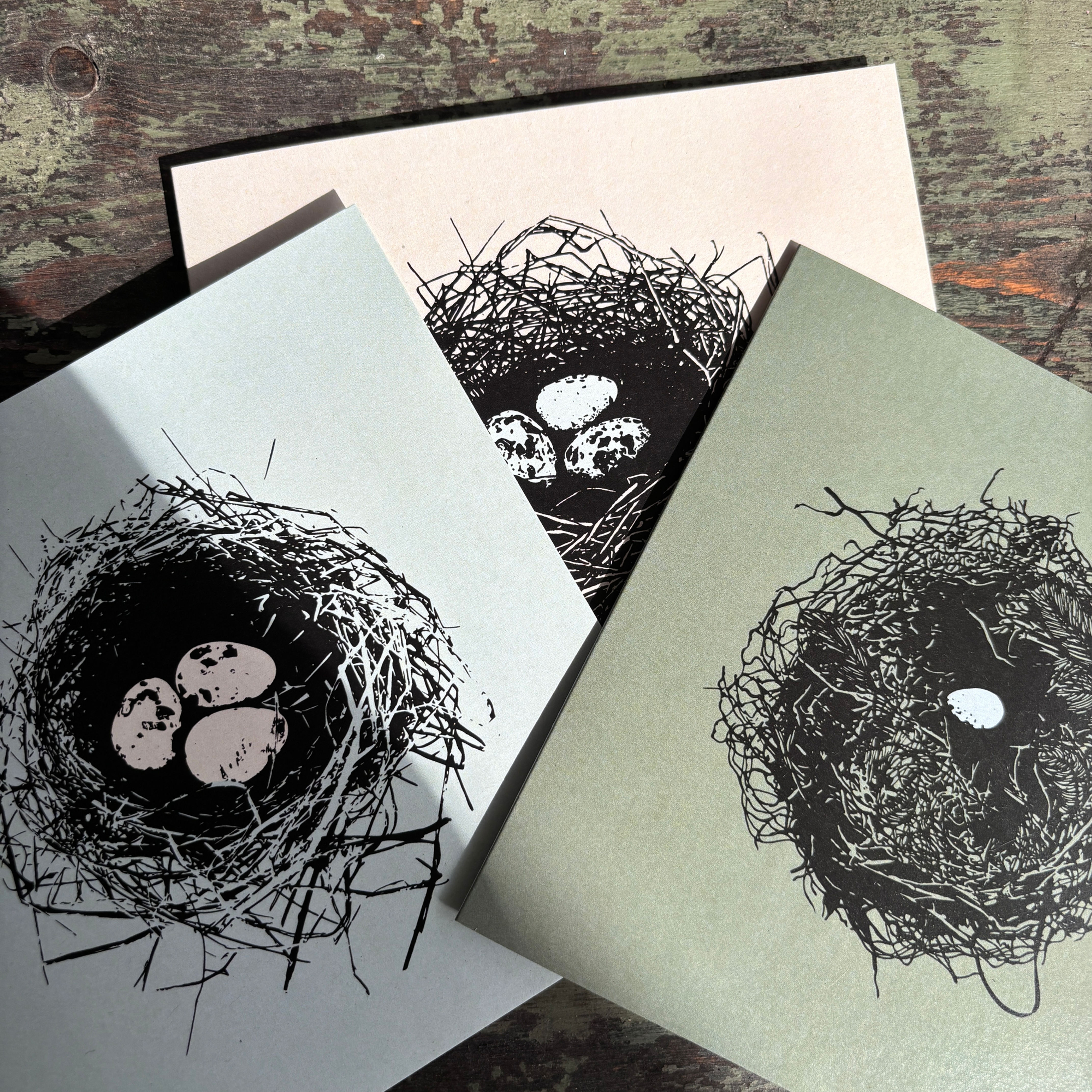 Set of 3 coloured cards showing various nests with eggs on a rustic painted background