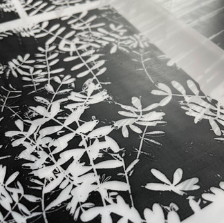 Black and white Leaf transparency print