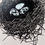 Thumbnail: bird eggs in nest close up of a greetings card