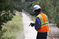 Spraying weed growth