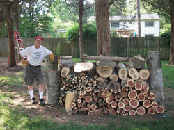 David tree job may2015