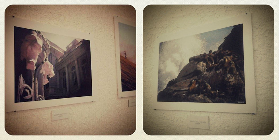 Casa Abierta 2014