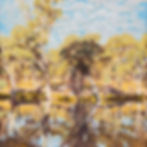 Shadow on the Bank