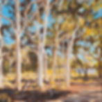 Forest Prism