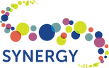 SYNERGY Updated.png